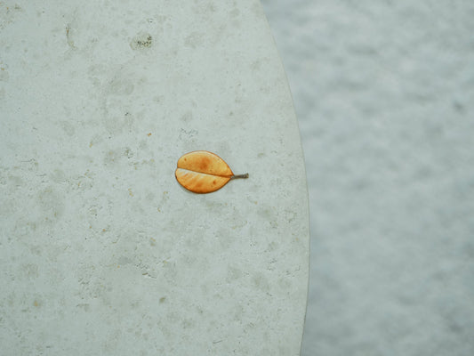 Reflections on S.T,N.E. #1 Mitsuharu Yamamura (BOOKLUCK)