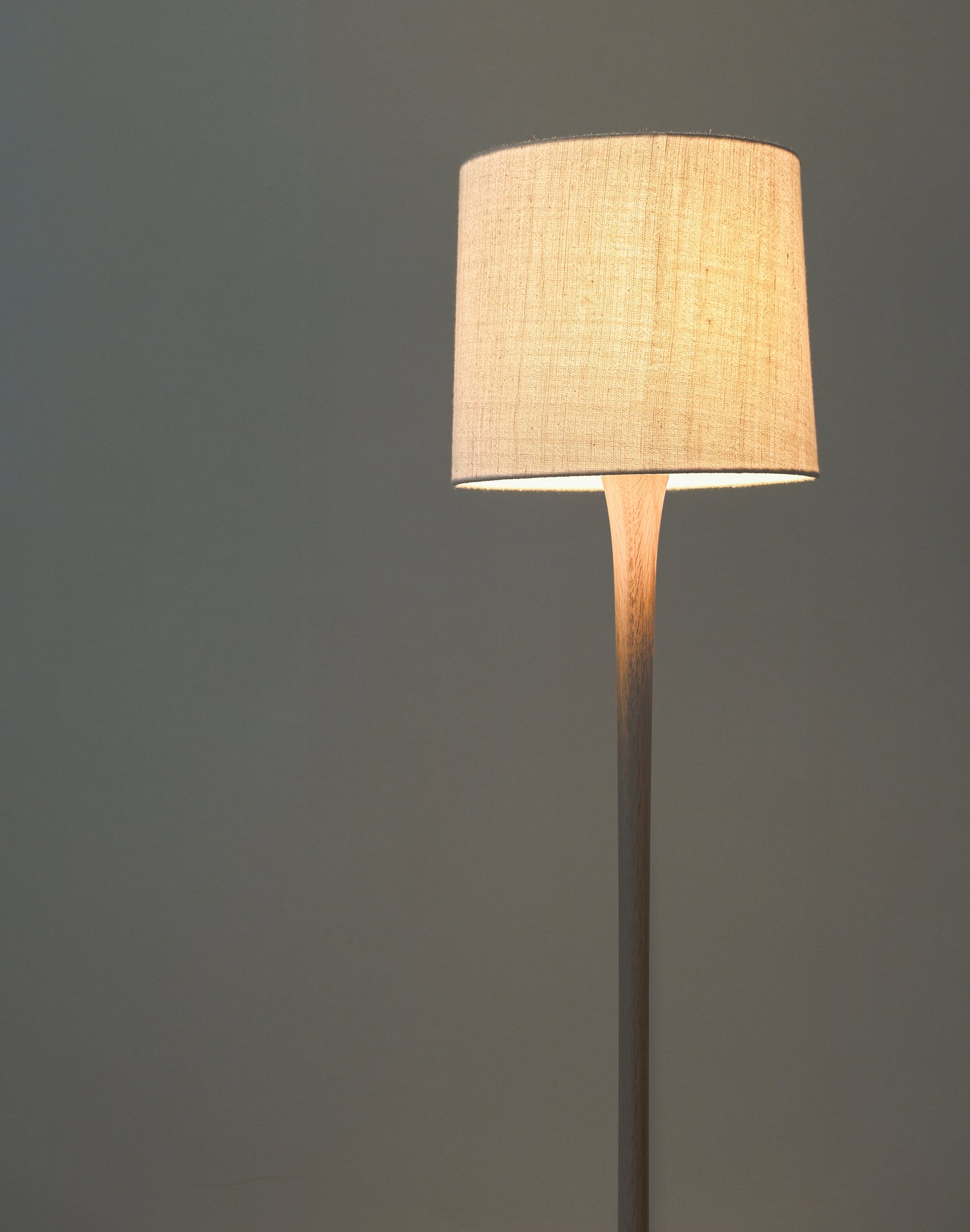 Floor Lamp F-WN1—S.T,N.E.