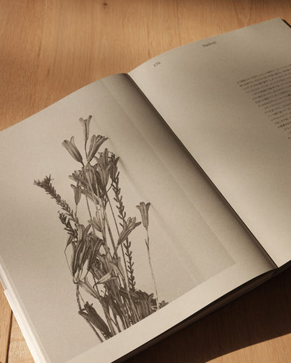 Same TRUCK, New Engine / A New Journey: 47 Furniture Stories, 16 Reflections