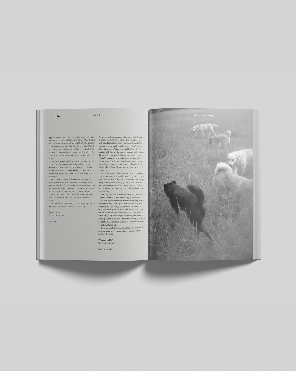 Same TRUCK, New Engine / A New Journey: 47 Furniture Stories, 16 Reflections